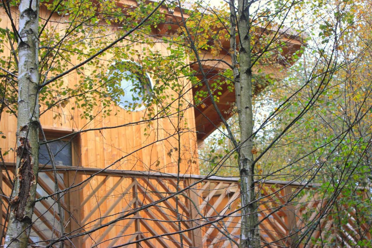 Domaine De Ribeaugoutte Villa Saint-Nabord Exterior foto